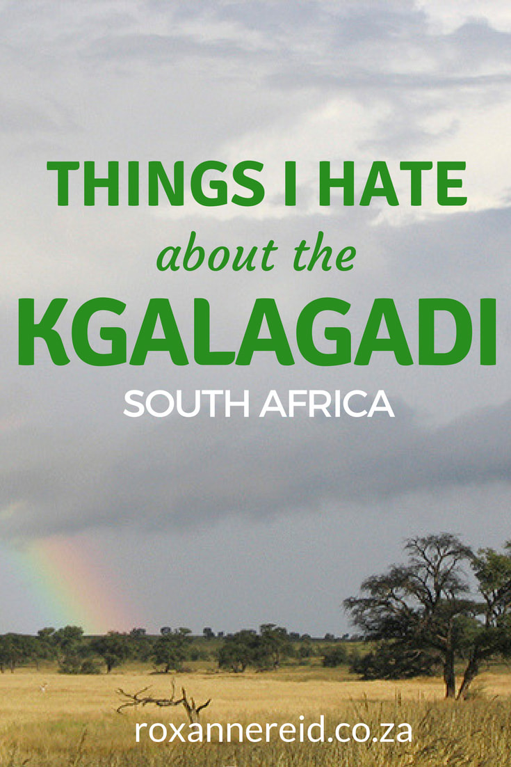 5 things I hate about the Kgalagadi Transfrontier Park #Kgalagadi #Kalahari #SouthAfrica #Botswana #safari #travel