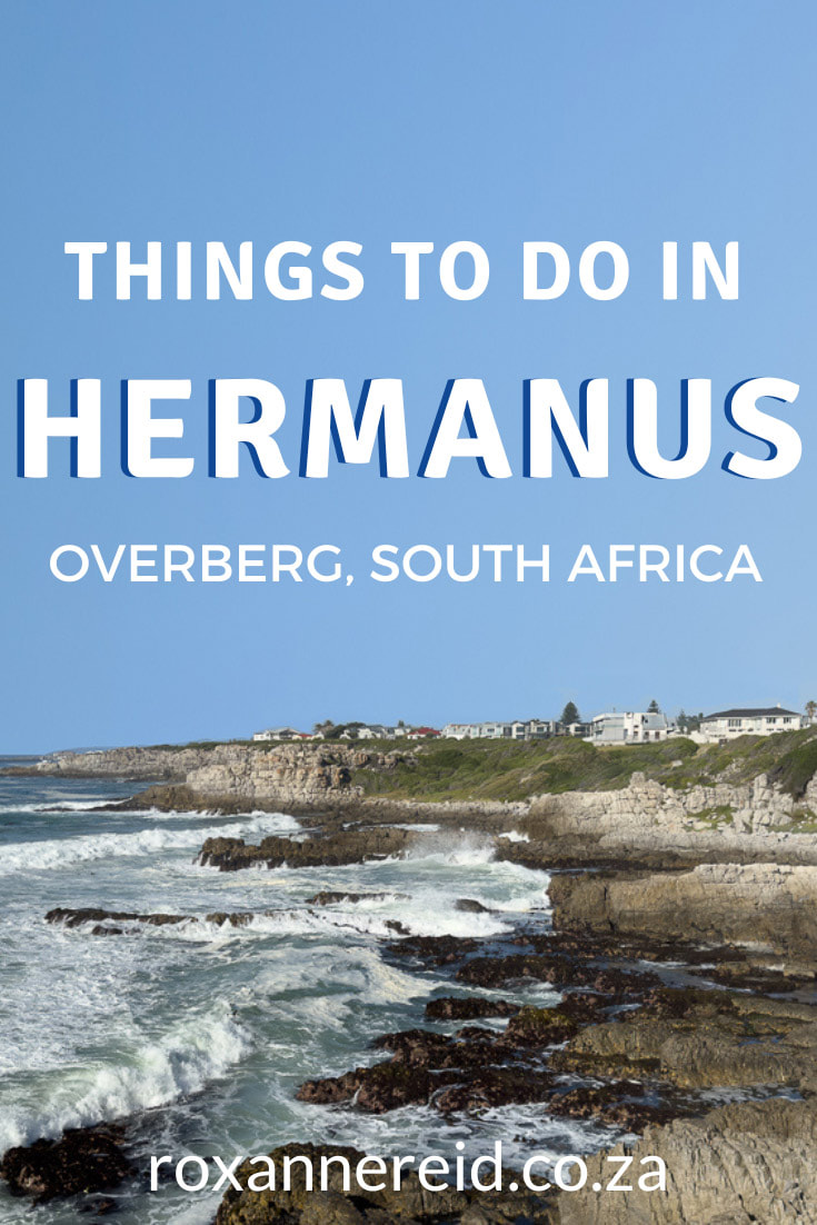 Visiting Hermanus on the Whale Coast, South Africa? Find out things to do in Hermanus from hiking and sea kayaking to shopping and Hermanus wine-tasting as well as whale-watching. Visit art galleries, try some Hermanus restaurants, Hermanus beaches, find Hermanus accommodation and learn about the best time to visit Hermanus.