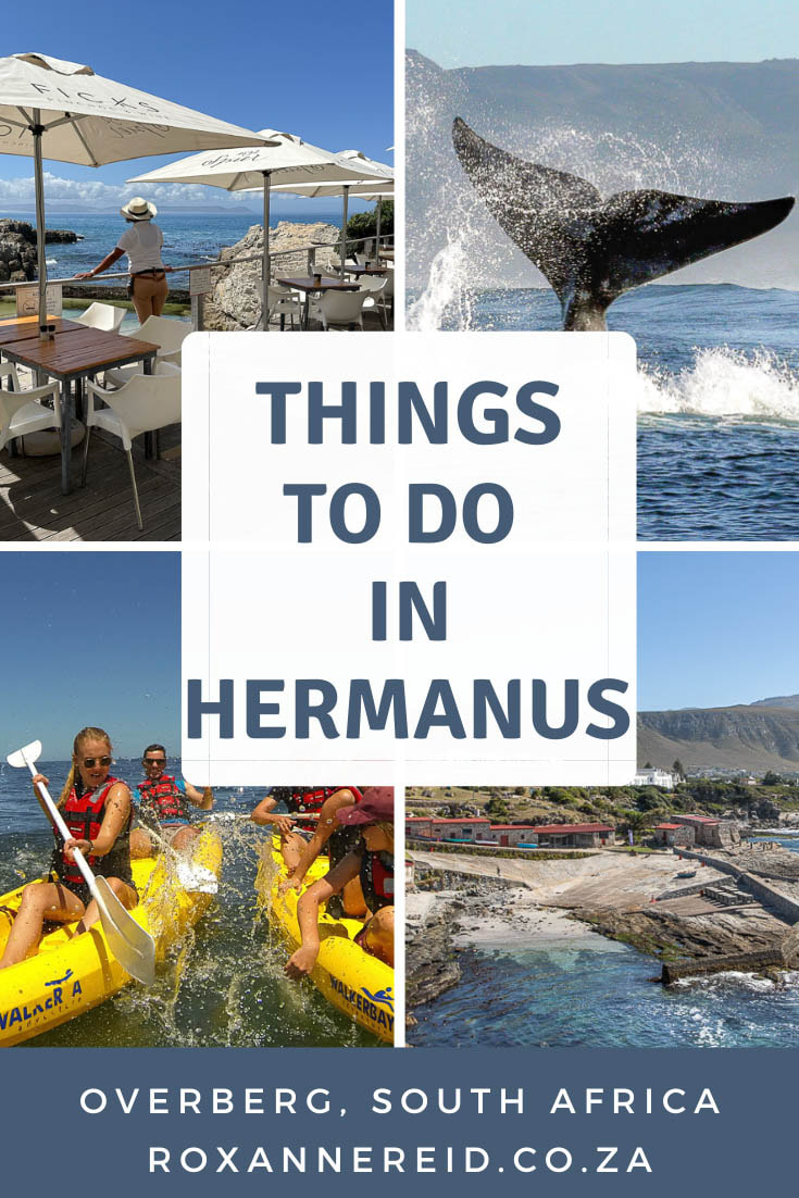 Visiting Hermanus on the Whale Coast, South Africa? Find out things to do in Hermanus from hiking and sea kayaking to shopping and Hermanus wine-tasting as well as whale-watching. Visit art galleries, try some Hermanus restaurants, Hermanus beaches, find Hermanus accommodation and learn about the best time to visit Hermanus.