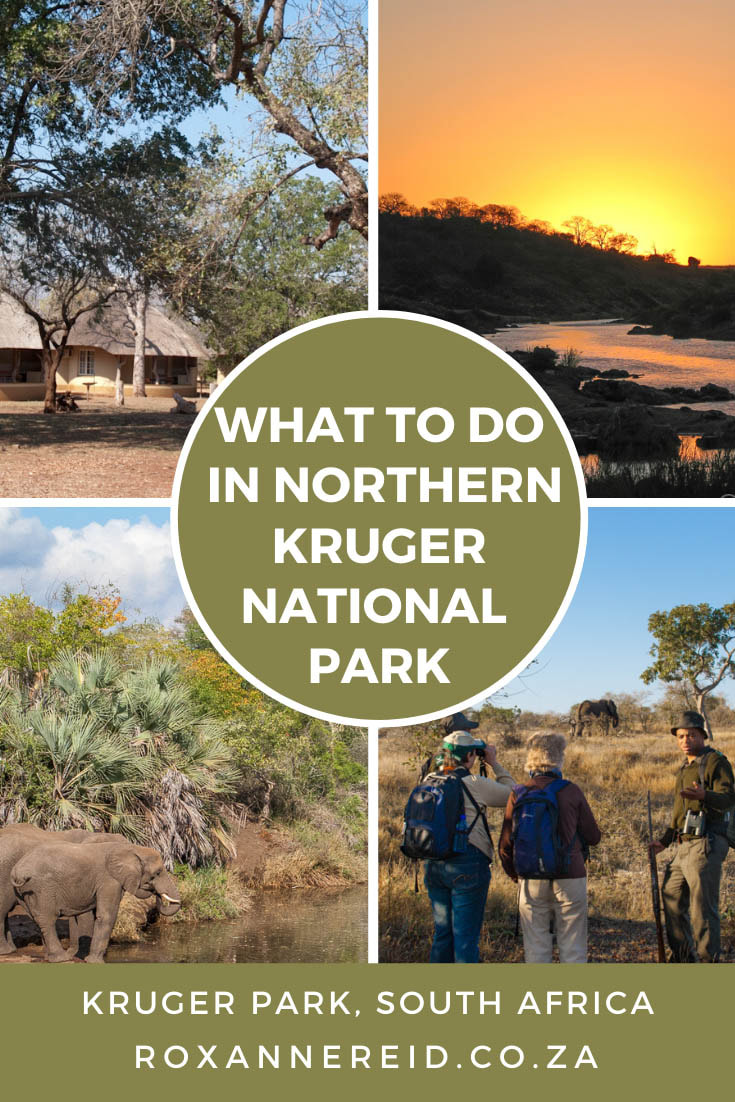 15 things to do in northern Kruger National Park