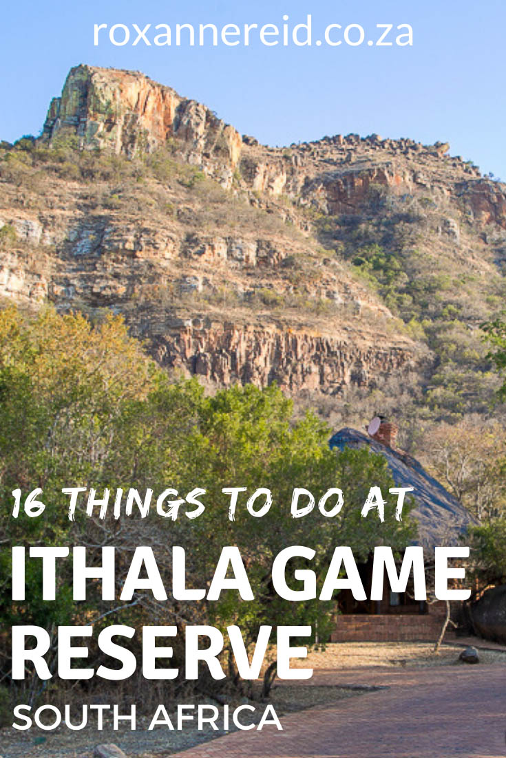 Visiting Ithala Game Reserve in KwaZulu-Natal in South Africa and wondering what to do there? Here are 16 things to do in Ithala, from walks to game drives, Ithala accommodation, picnic sites and viewpoints.
