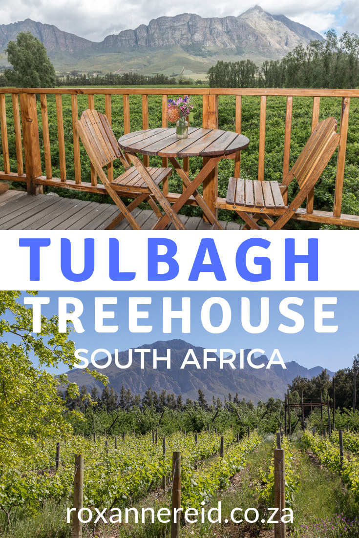 Stay in a treehouse in Tulbagh, Cape Winelands, South Africa. Go wine-tasting among the vineyards, heritage crawling, biking, hiking or enjoy a relaxing massage in the spa #Tulbagh #treehouse #CapeWinelands #SouthAfrica
