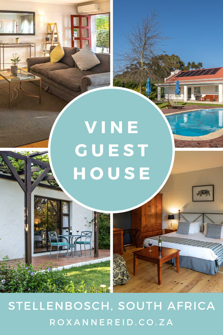 Visiting Stellenbosch in the Cape Winelands and want to know where to stay? How about Vine Guesthouse in Bottelary Road, Stellenbosch? Find out more about what to expect and what to do in Stellenbosch, from hiking and biking, to museums, wine tasting, a beer route and restaurants. Read about this friendly one of the guesthouses in Stellenbosch and why it’s a perfect bed and breakfast, Stellenbosch. 