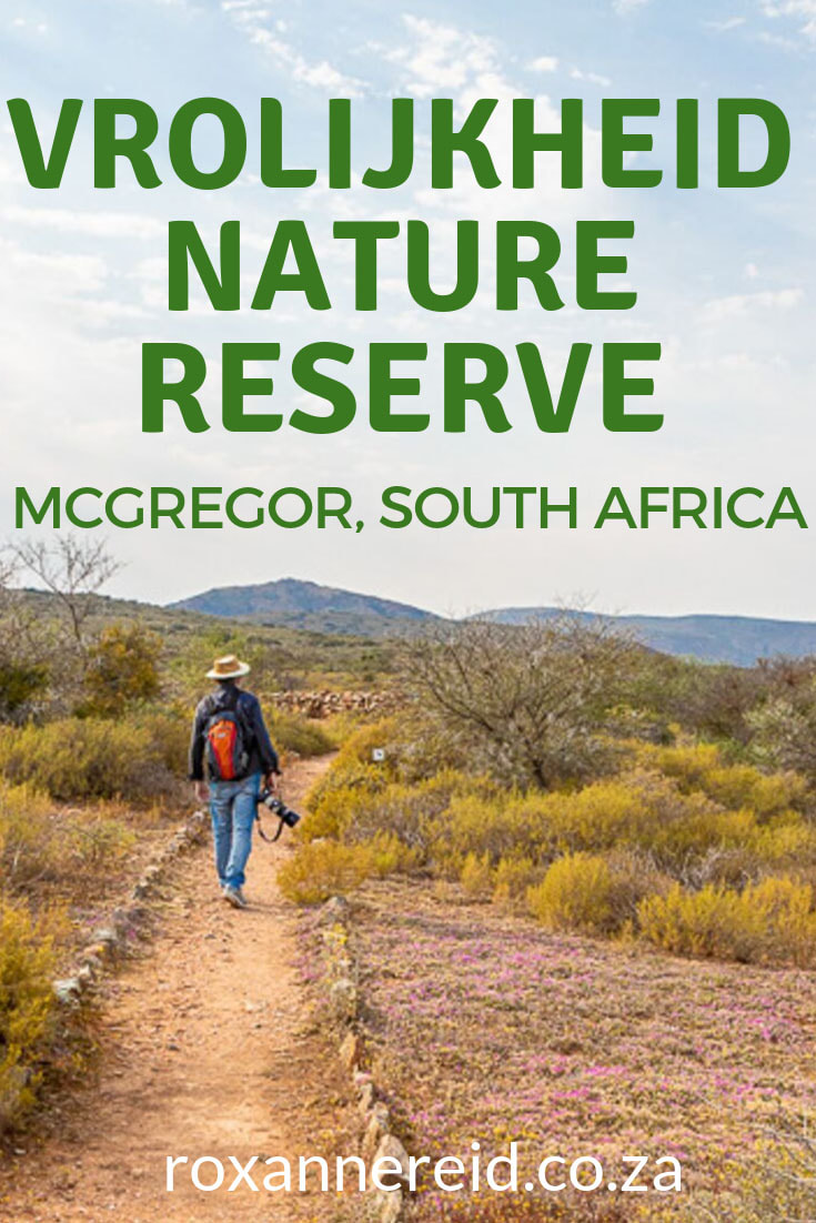 Planning to visit Vrolijkheid Nature Reserve near McGregor on Route62 in South Africa? Here are 10 things to do at Vrolijkheid in the Breede River Valley near Robertson, one of the CapeNature reserves. Think of it as your McGregor accommodation and explore some of the hiking, mountain biking, birding and other activities in the area. #Route62 #McGregoraccommodation