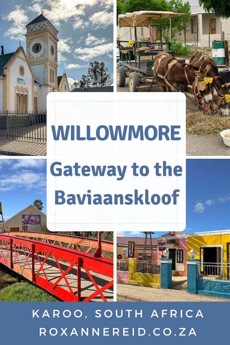 Despite its small size, there are lots of things to do in Willowmore in the Karoo, from hiking, mountain biking and 4x4 trails, to old buildings, graveyards, birding, donkey cart rides and star gazing. There are also 5 Willowmore restaurants worth visiting, and lots of Willowmore accommodation to choose from during your stay. Don’t miss a drive into the Baviaanskloof UNESCO World Heritage Site, to which Willowmore is the western gateway.