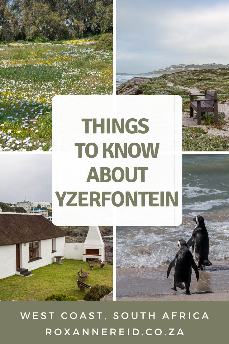 How well do you know Yzerfontein on South Africa’s West Coast? Find out about its spring flowers, lime kilns, beaches, urban conservancy, Yzerfontein accommodation and more. #SouthAfrica #Yzerfontein #WestCoast